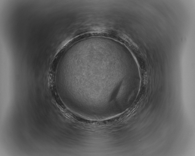 X0000116061208200911271235