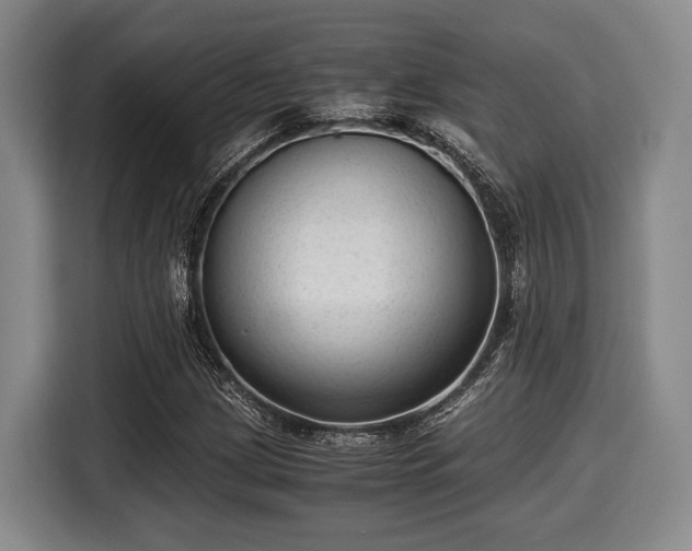 X0000116061209200911271235