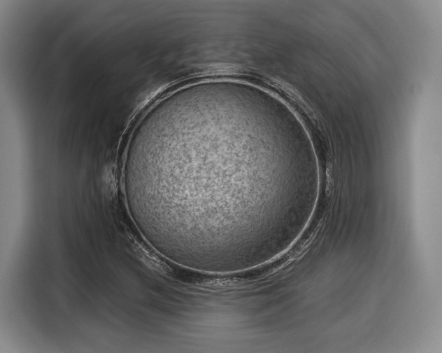 X0000116061212200911271235