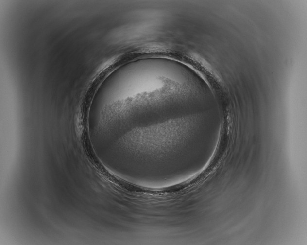 X0000116061213200911271235