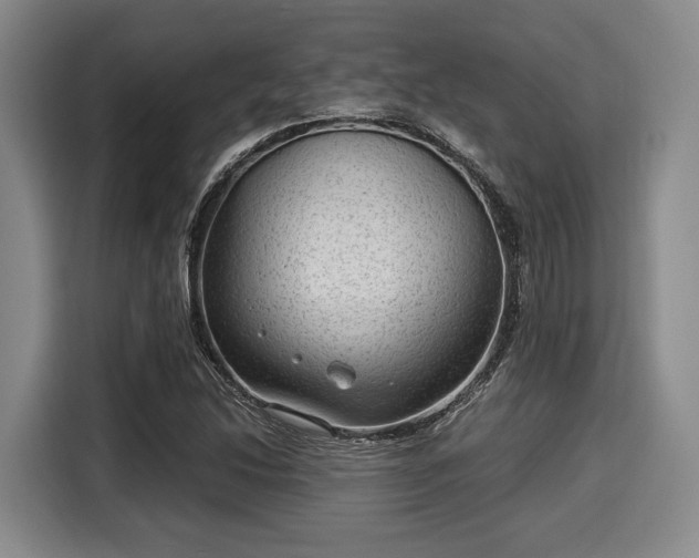 X0000116061214200911271235