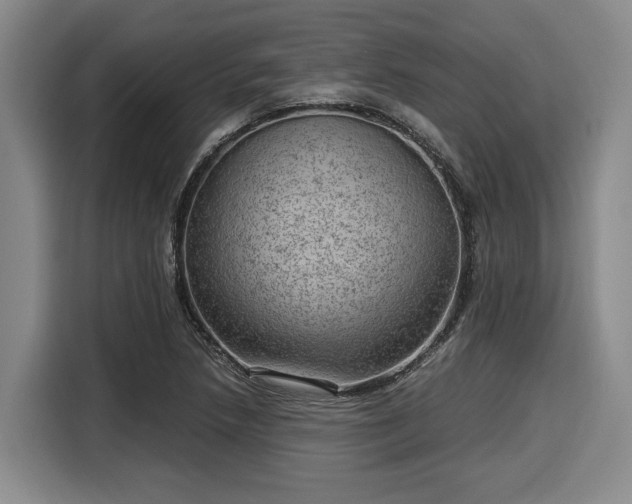 X0000116061218200911271235