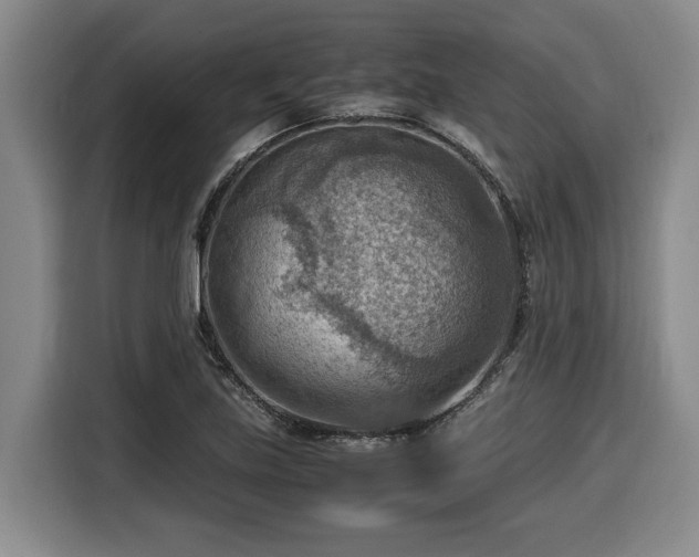 X0000116061219200911271236