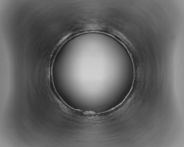 X0000116061220200911271236
