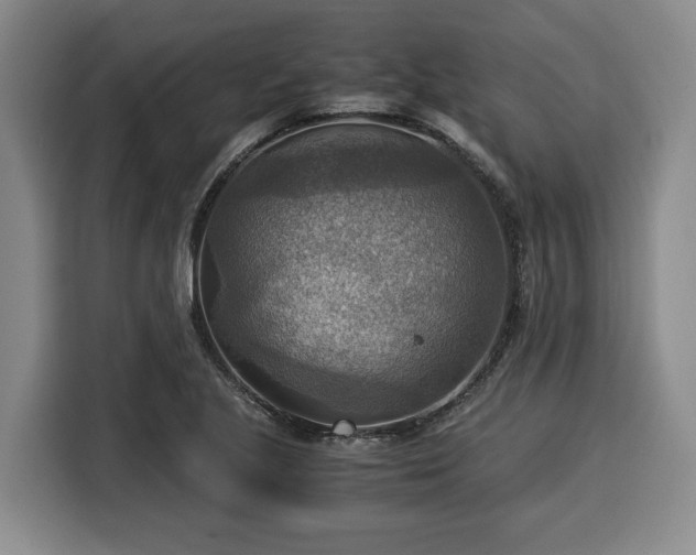 X0000116061221200911271236