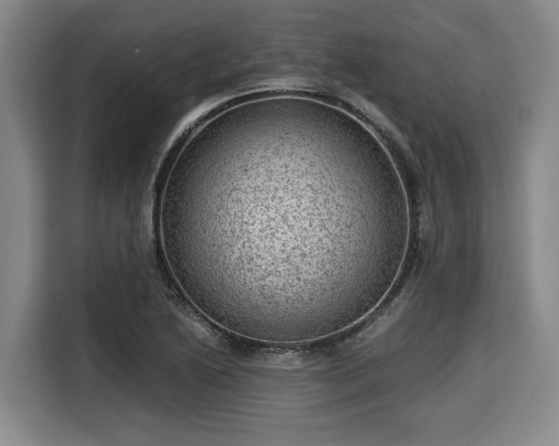 X0000116061222200911271236