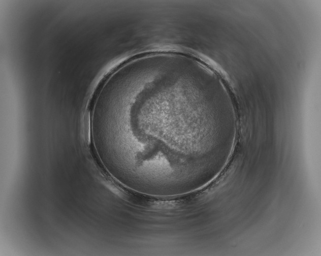 X0000116061223200911271236