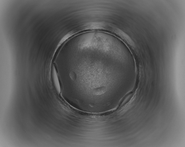 X0000116061226200911271236