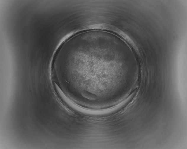 X0000116061230200911271236