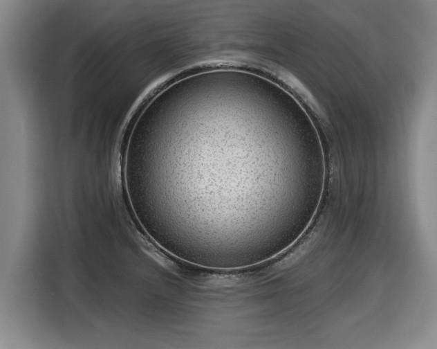 X0000116061232200911271236