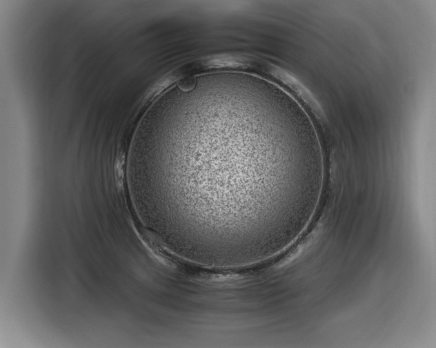 X0000116061233200911271236