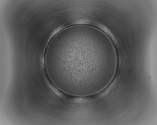 X0000116061234200911271236