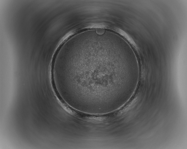 X0000116061237200911271236