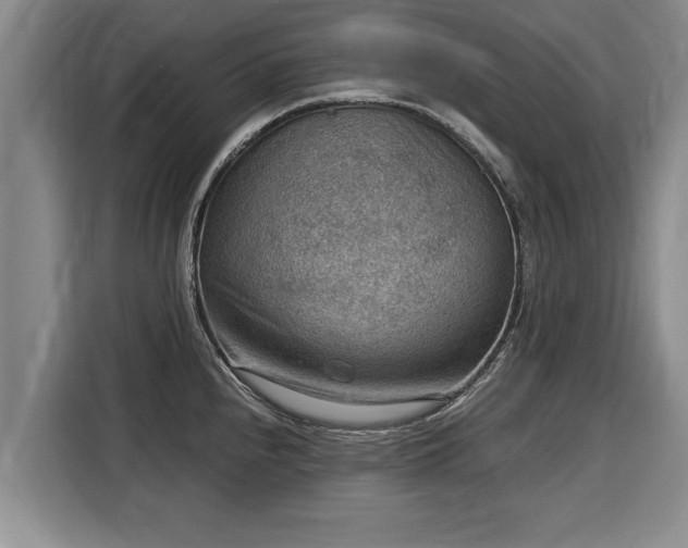 X0000116061240200911271236