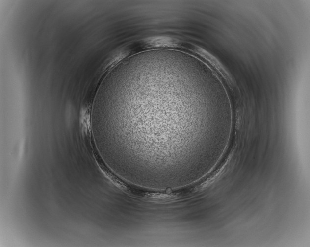 X0000116061241200911271236