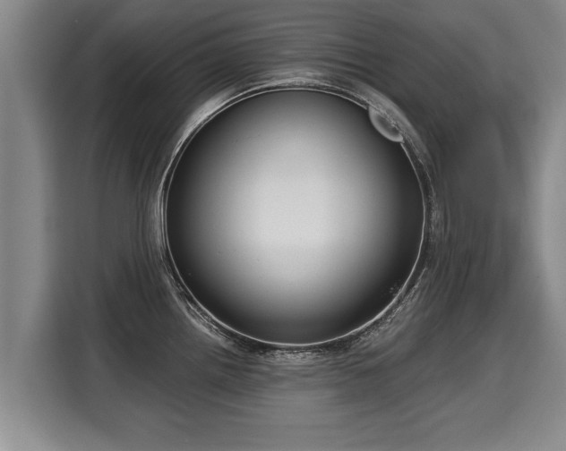 X0000116061242200911271236