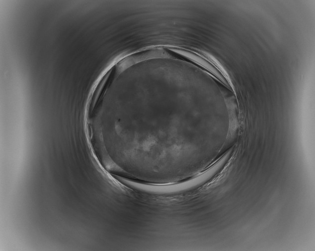 X0000116061243200911271236