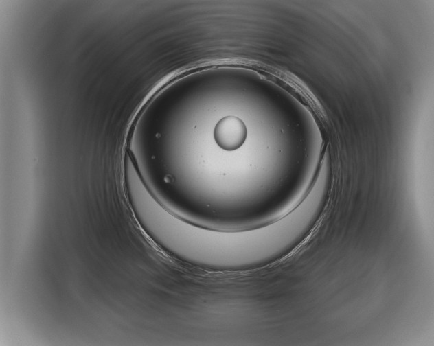 X0000116061244200911271236
