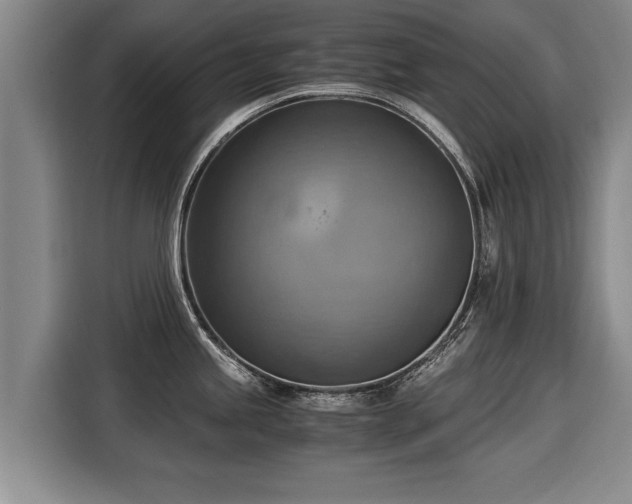 X0000116061245200911271236