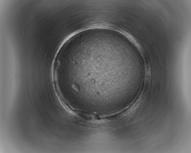 X0000116061246200911271236