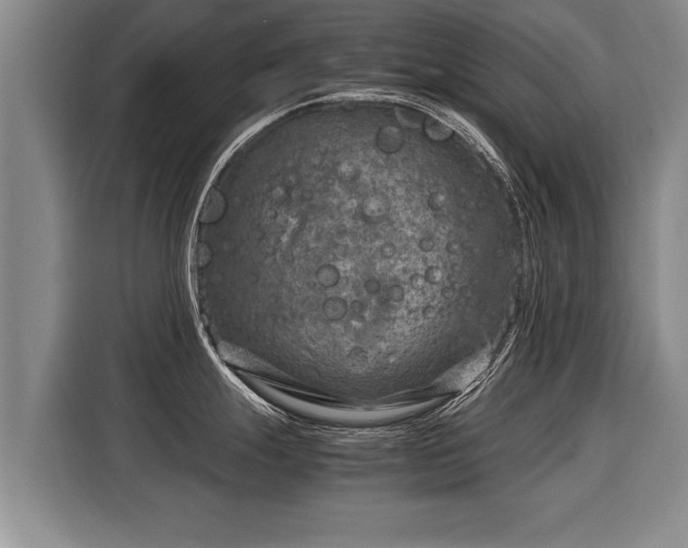 X0000116061247200911271236