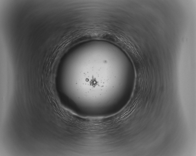 X0000116061249200911271235