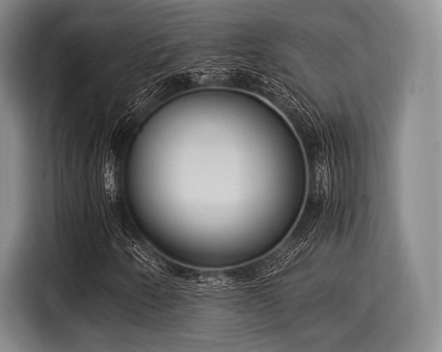 X0000116061250200911271235