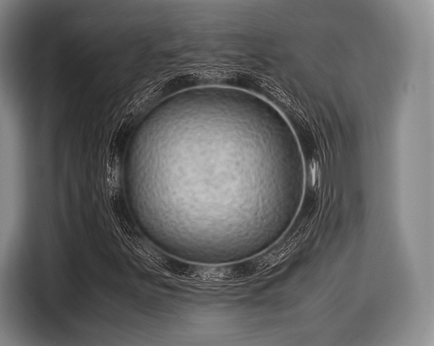 X0000116061251200911271235