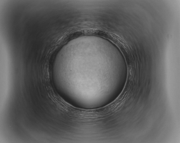 X0000116061252200911271235