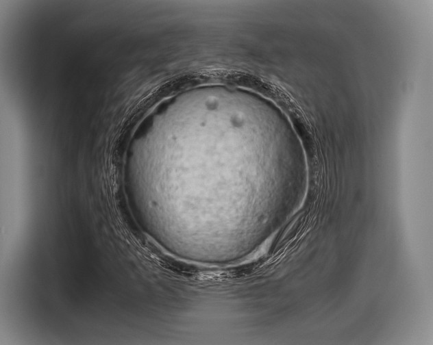 X0000116061253200911271235