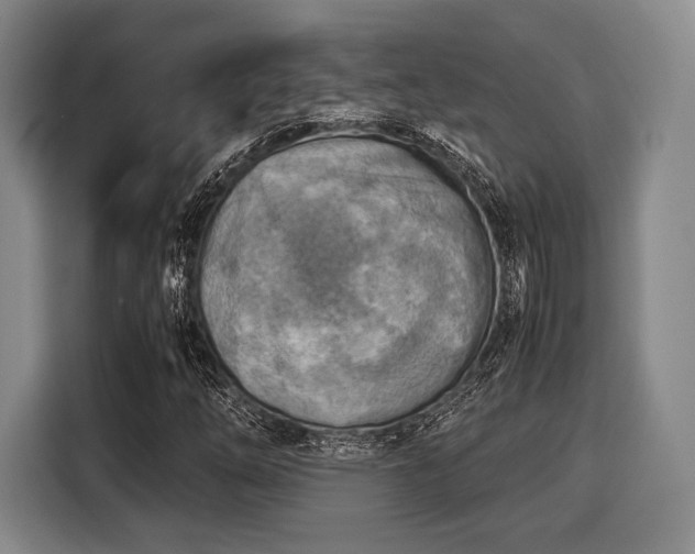 X0000116061254200911271235
