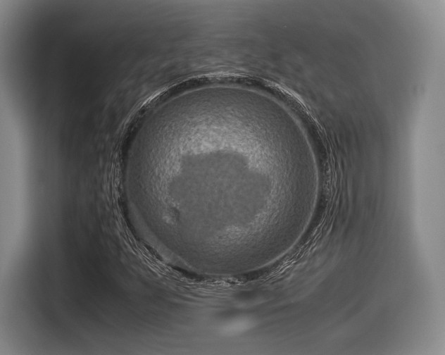 X0000116061255200911271235