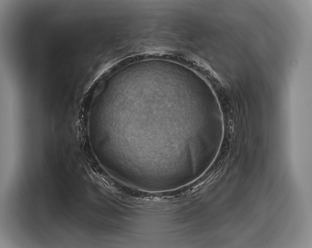 X0000116061256200911271235