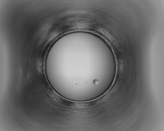X0000116061258200911271235
