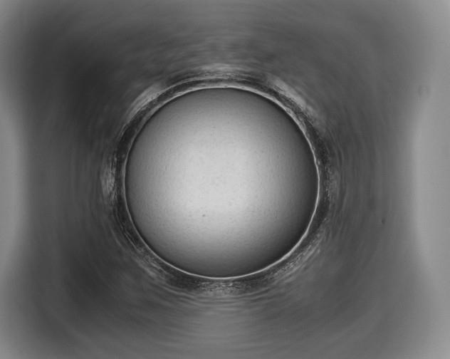 X0000116061259200911271235
