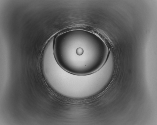 X0000116061260200911271235