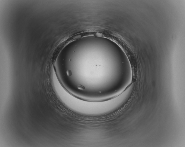 X0000116061261200911271235