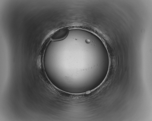 X0000116061262200911271235
