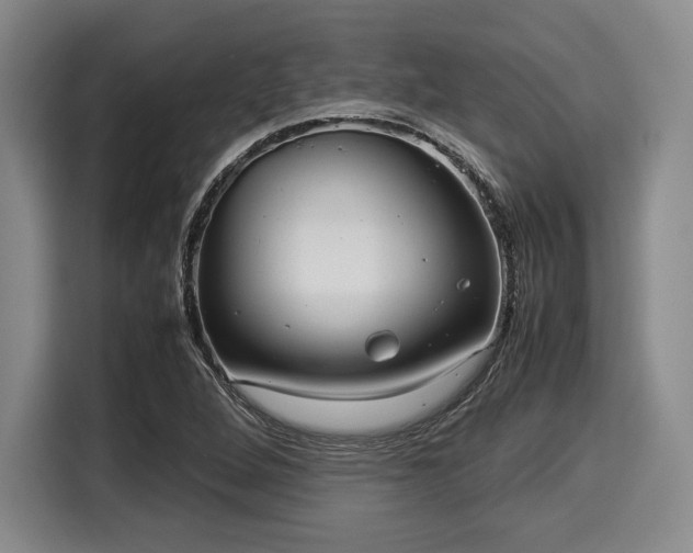 X0000116061264200911271235
