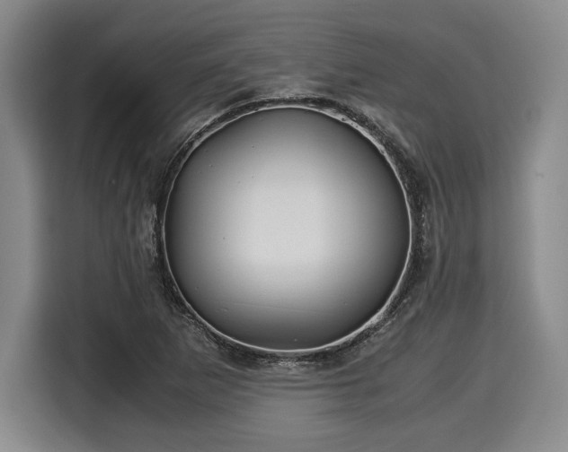 X0000116061265200911271235