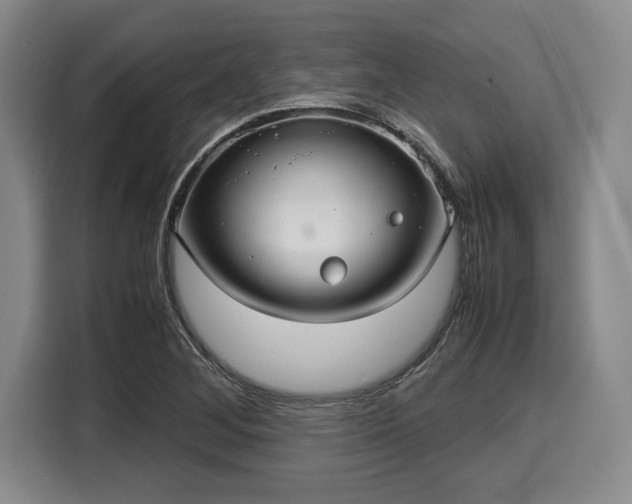 X0000116061268200911271235