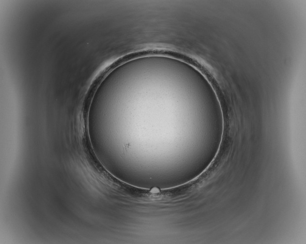 X0000116061271200911271235