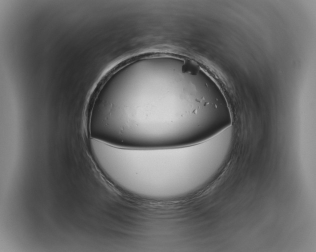 X0000116061272200911271235