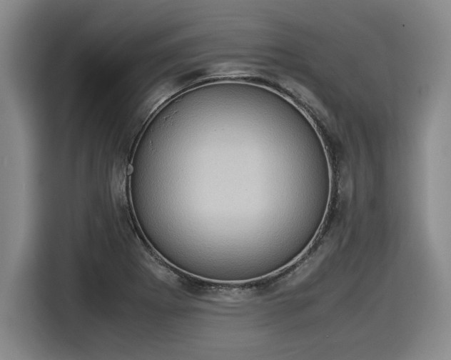 X0000116061273200911271235