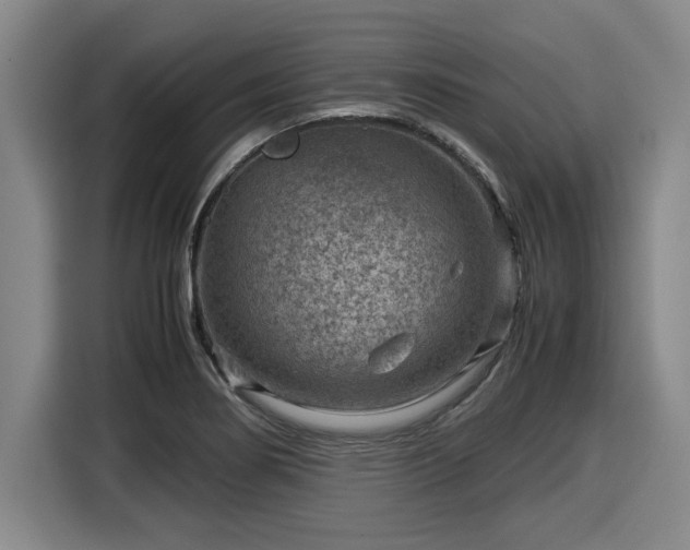 X0000116061274200911271235