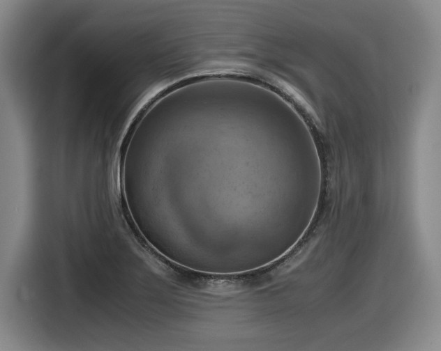 X0000116061275200911271235