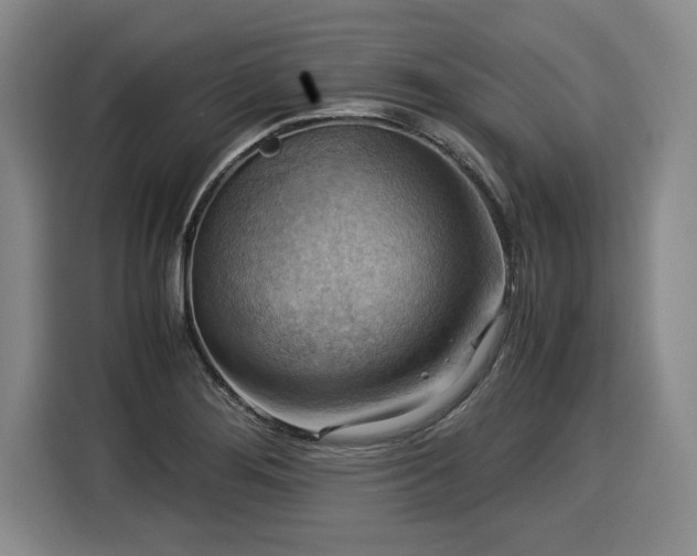 X0000116061276200911271235