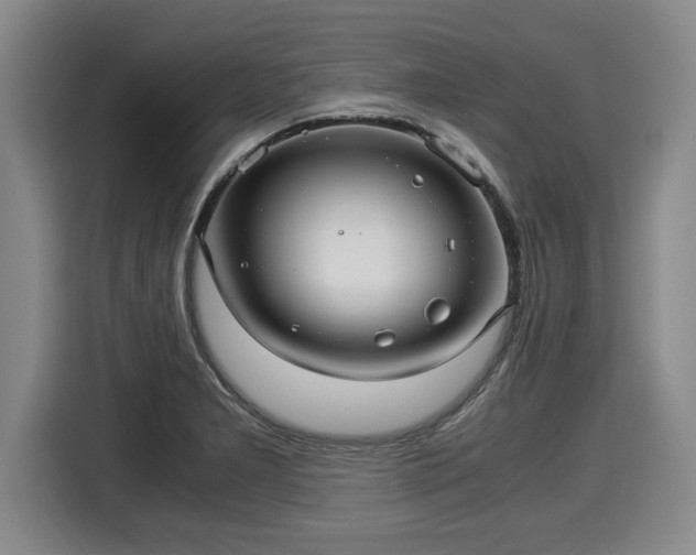 X0000116061277200911271235