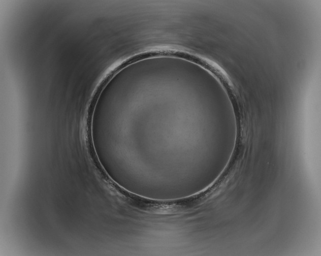 X0000116061279200911271235