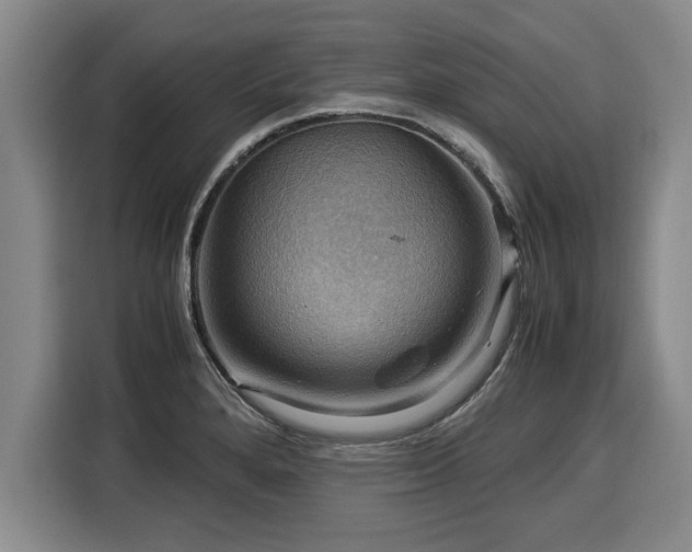 X0000116061280200911271235